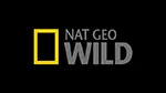 Nat Geo Wild