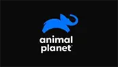 Animal Planet